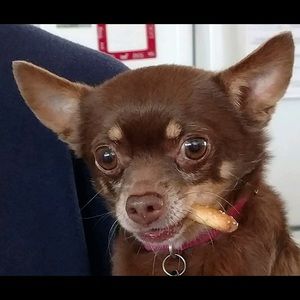 Meet your Posher, Ralph